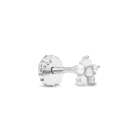 PIERCING ANBA PLATA LUXENTER