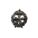 INSIGNIA PLATA INGENIERO AERONAUTICO                                                                