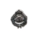 INSIGNIA PLATA BIOLOGICAS                                                                           
