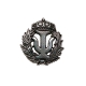 INSIGNIA PLATA PSICOLOGIA                                                                           
