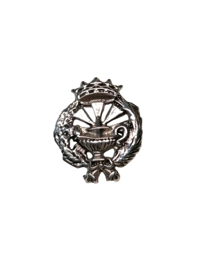 INSIGNIA PLATA QUIMICAS