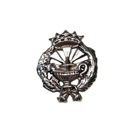 INSIGNIA PLATA QUIMICAS