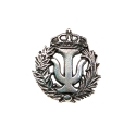 INSIGNIA PLATA PSICOLOGIA