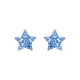 PENDIENTES ESTRELLA PLATA LUXENTER                                                                  