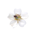 BROCHE FLOR LUXENTER