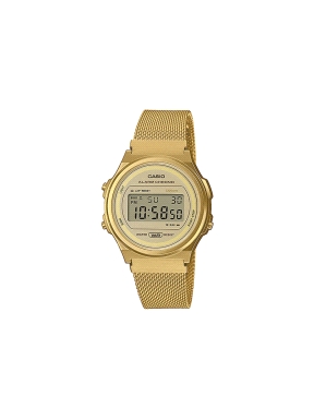 CASIO A171WEMG-9AEF                                                                                 
