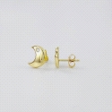 PENDIENTES LUNA ORO Y CIRCONITAS