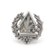 INSIGNIA PLATA FISICA