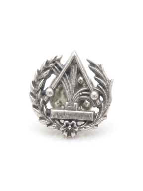 INSIGNIA PLATA FISICA