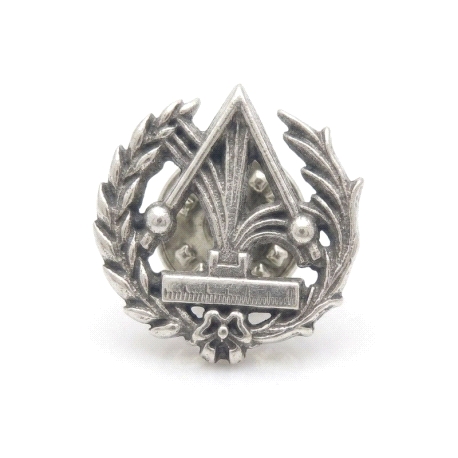 INSIGNIA PLATA FISICA