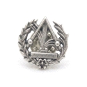 INSIGNIA PLATA FISICA