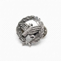 INSIGNIA PLATA FISIOTERAPEUTA