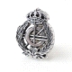 INSIGNIA PLATA ING. INFORMATICO                                       