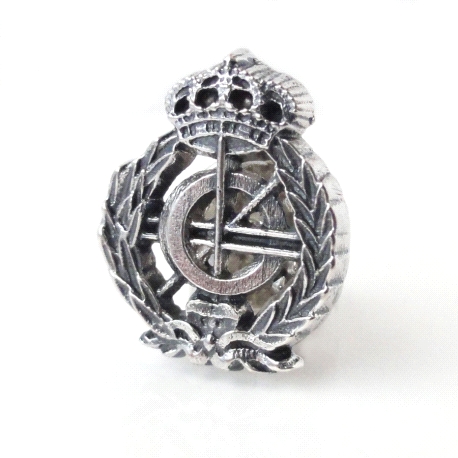 INSIGNIA PLATA ING. INFORMATICO                                       