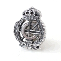 INSIGNIA PLATA ING. INFORMATICO