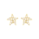 PENDIENTES ESTRELLA PLATA LUXENTER                                    